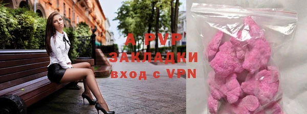 гидра Абаза